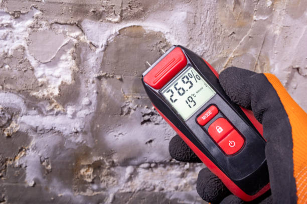 Best Bathroom Mold Remediation in South Vacherie, LA