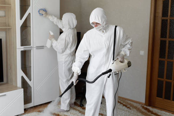 Best Commercial Mold Remediation in South Vacherie, LA